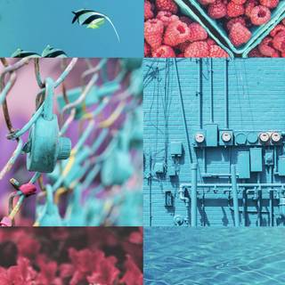 Collage phone wallpaper