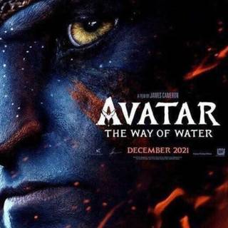 Avatar 2022 wallpaper