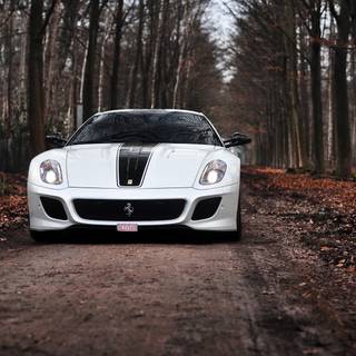 Ferrari 599 GTO wallpaper