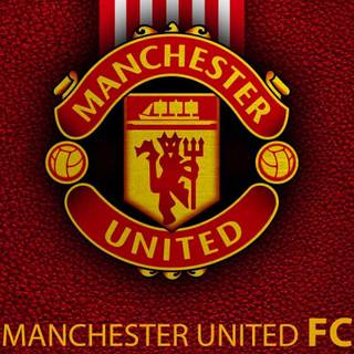 Manchester United logo 2023 wallpaper