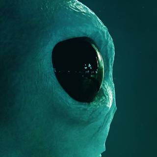 Alien face wallpaper