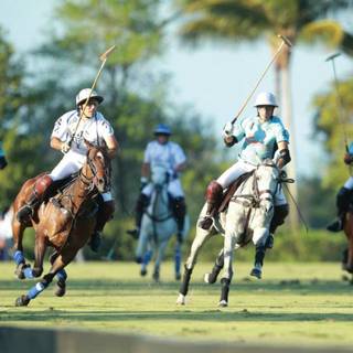 Polo sport wallpaper