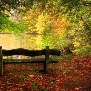 Autumn mix wallpaper