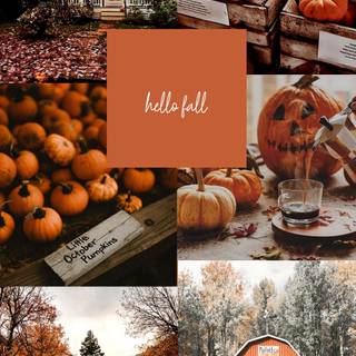 Cute autumn collage wallpaper