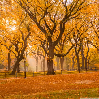 iPad Mini autumn wallpaper