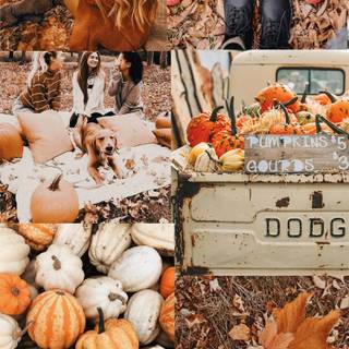 Best autumn collage wallpaper