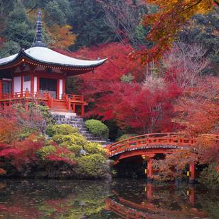 Autumn things wallpaper