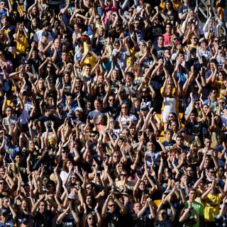 Football crowd wallpaper