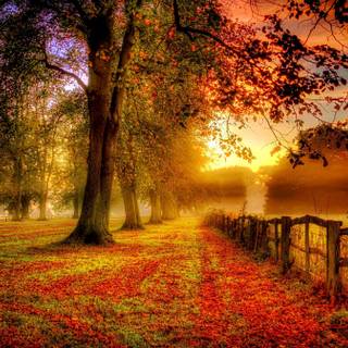 Autumn coast wallpaper