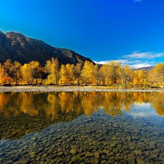 Autumn trees lake wallpaper