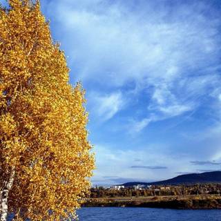 Autumn coast wallpaper