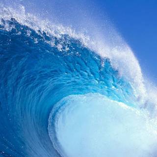 Triple monitor summer wallpaper