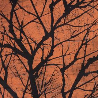 Fall Halloween iPad wallpaper