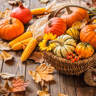 Autumn pumpkin leaves forest wallpaper