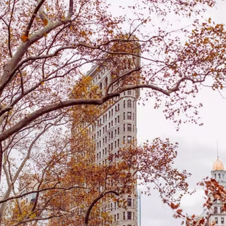 New York fall wallpaper