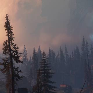 Smartphone 4k nature wallpaper