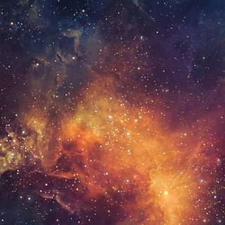 Smartphone 4k nature wallpaper