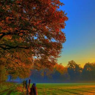 iPhone 4k autumn mobile full wallpaper