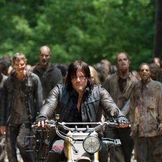 Daryl Dixon phone wallpaper