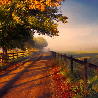 Beautiful autumn field desktop wallpaper