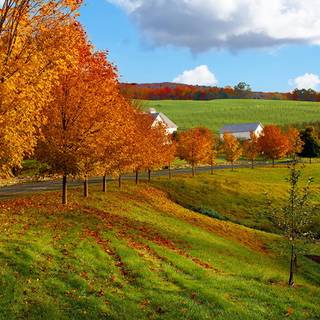 Beautiful autumn field desktop wallpaper