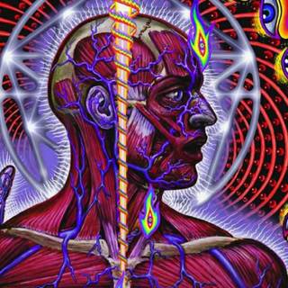 Alex Grey art phone wallpaper