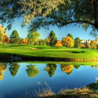 Beautiful autumn field desktop wallpaper