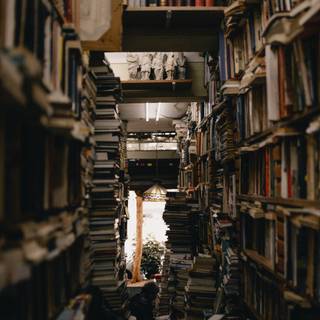 Dark Academia Windows wallpaper