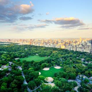 New York Central Park wallpaper