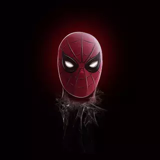Spider-Man head wallpaper