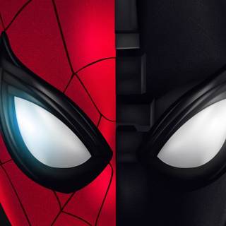 Spider-Man head wallpaper