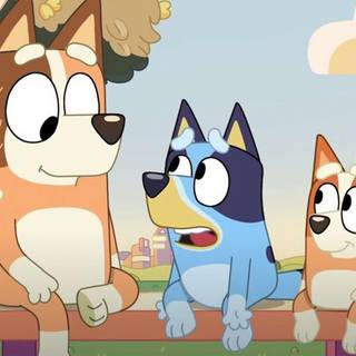 Socks Bluey wallpaper