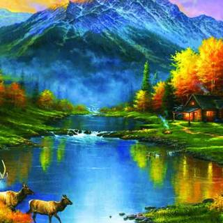 Fall colors Ultra HD wallpaper