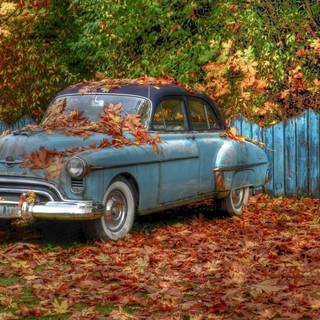 Park autumn car wallpaper