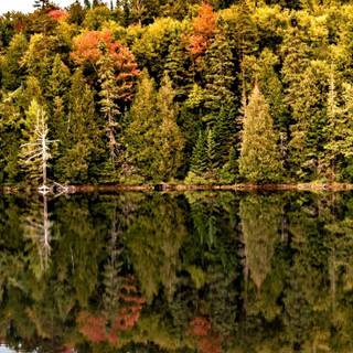 Autumn Canada lake wallpaper