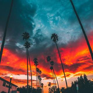 Trees and clouds wallpaper