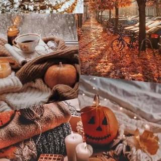 Halloween moodboards wallpaper
