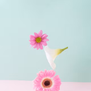 Phone spring aesthetic wallpaper