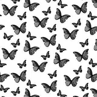 Black and white butterfly wallpaper