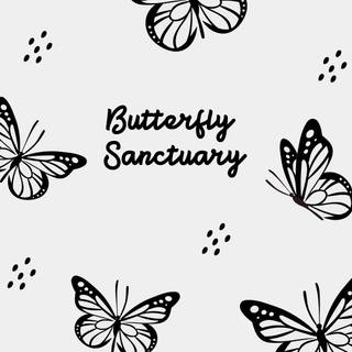 Black and white butterfly wallpaper