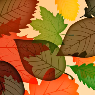 Autumn digital art phone wallpaper