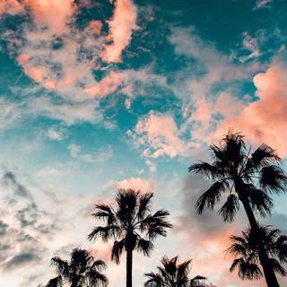 Paradise beauty wallpaper