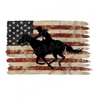 Barrel racer wallpaper