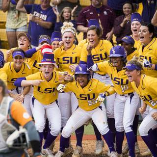LSU Tigers softball wallpaper