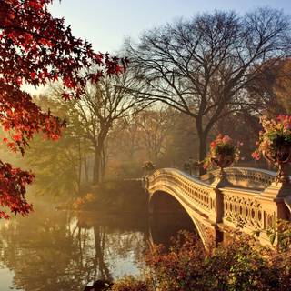Bridges autumn wallpaper