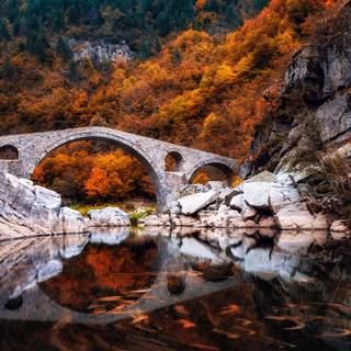 Bridges autumn wallpaper
