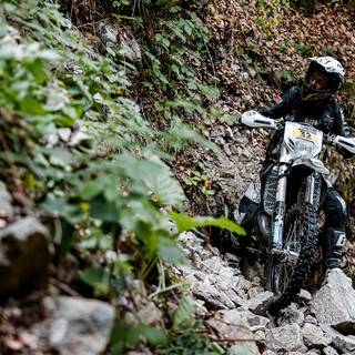 Graham-Jarvis wallpaper