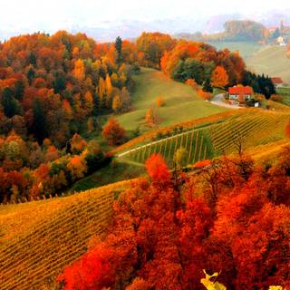 Houses autumn wallpaper