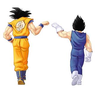 Goku and Vegeta fusion wallpaper