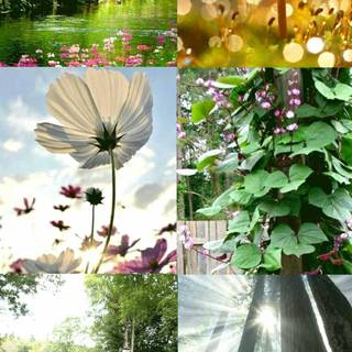 Secret World of Arrietty aesthetic wallpaper